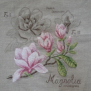 Magnolias for ever !